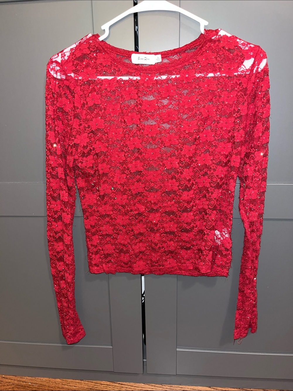 Faded rose Red Sheer Lace Long Sleeve Top